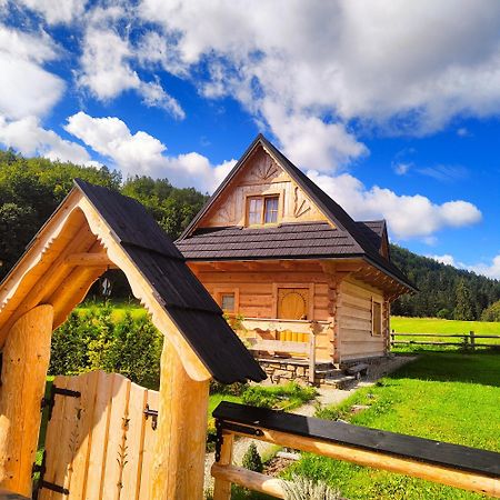 Domek Trzy Doliny Zakopane, Three Valleys Chalet With Jacuzzi מראה חיצוני תמונה