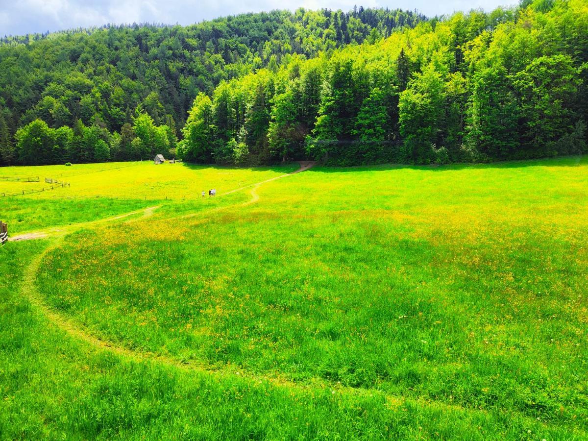 Domek Trzy Doliny Zakopane, Three Valleys Chalet With Jacuzzi מראה חיצוני תמונה