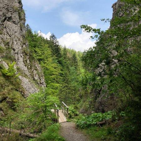 Domek Trzy Doliny Zakopane, Three Valleys Chalet With Jacuzzi מראה חיצוני תמונה