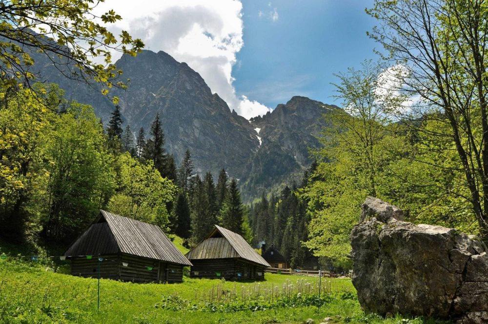 Domek Trzy Doliny Zakopane, Three Valleys Chalet With Jacuzzi מראה חיצוני תמונה